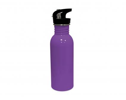 Stainless Flip 750ml Gloss ColourCoat Bottle