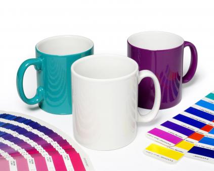 Durham ColourCoat Mug